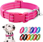 Small dog wearing pink neoprene padded collar