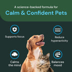 Authentic USA imported VetriScience feline anxiety relief chews for travel and vet stress