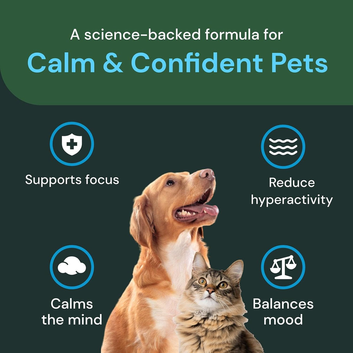 Authentic USA imported VetriScience feline anxiety relief chews for travel and vet stress