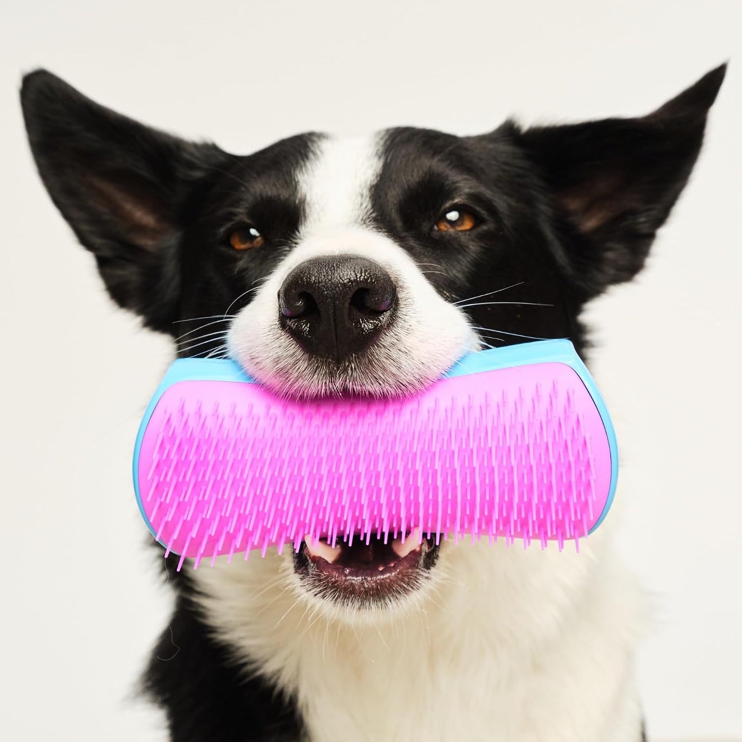 Gentle polymer teeth dog brush preventing brush burn