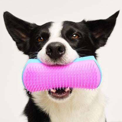 Gentle polymer teeth dog brush preventing brush burn