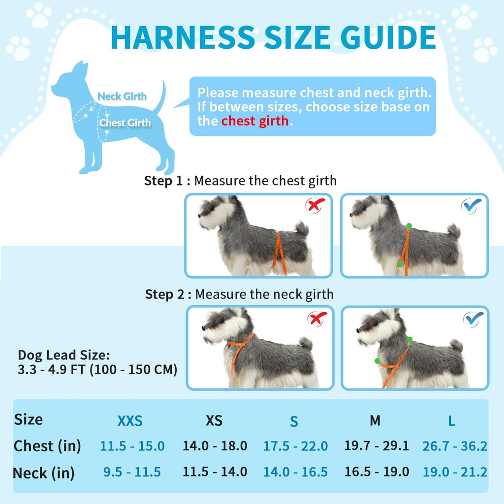 Lukovee dog leash with shock absorbing bungee