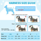 Lukovee dog leash with shock absorbing bungee