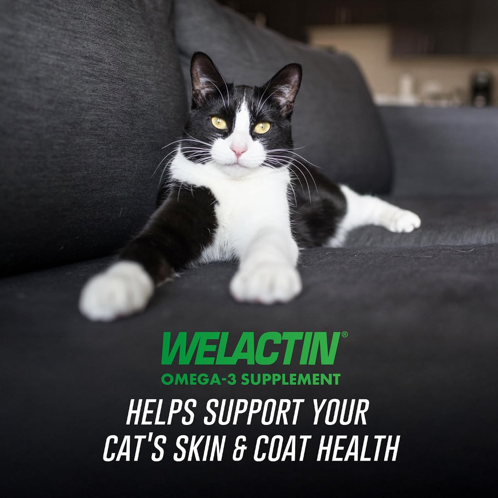 Nutramax Welactin feline liquid supplement showing daily feeding guidelines and dosage
