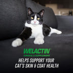 Nutramax Welactin feline liquid supplement showing daily feeding guidelines and dosage