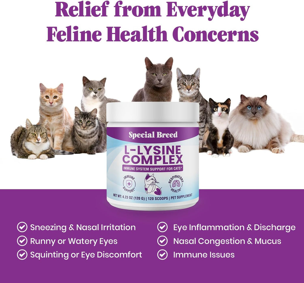 Special Breed L-Lysine powder texture and consistency