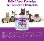 Special Breed L-Lysine powder texture and consistency
