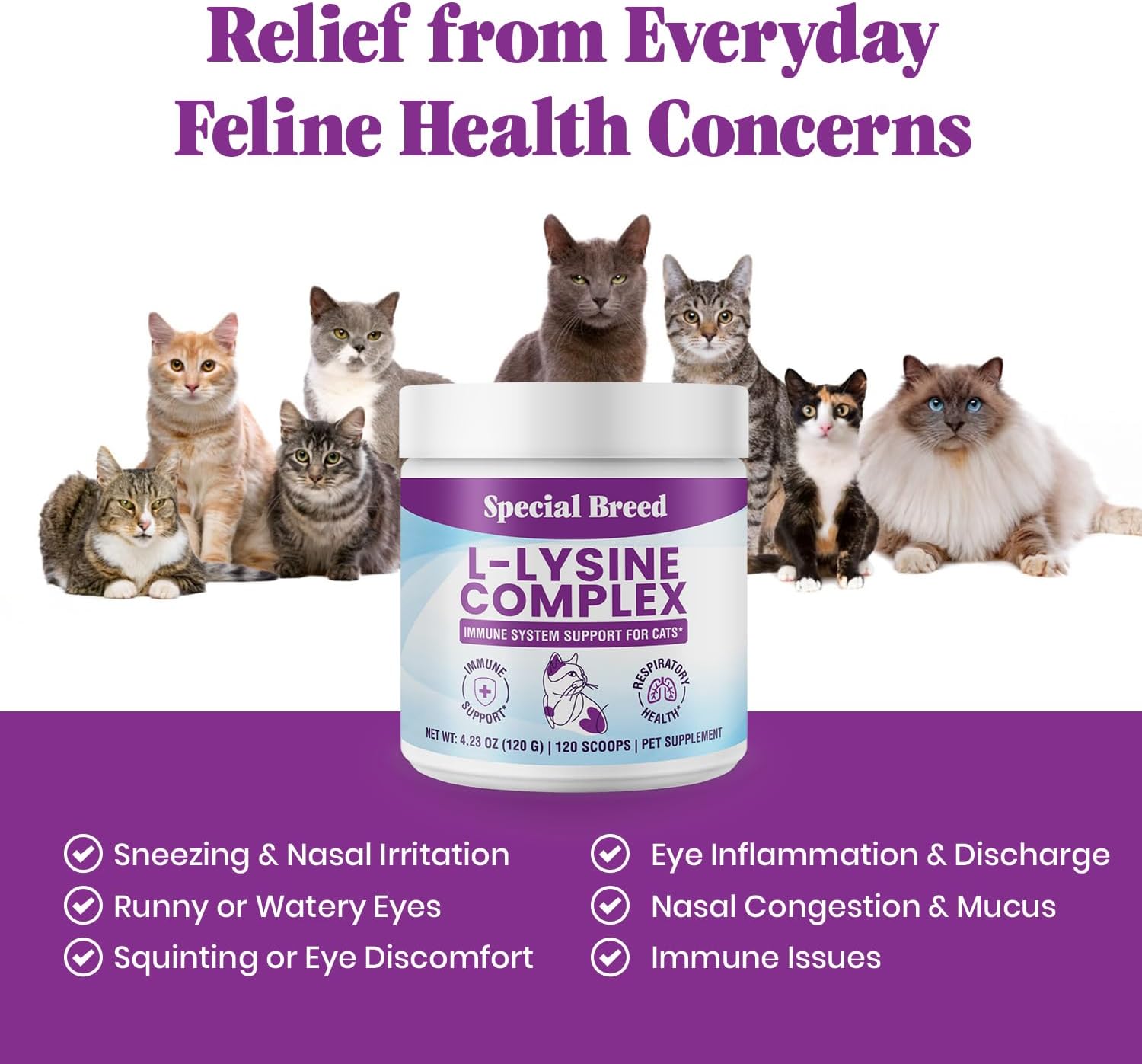 Special Breed L-Lysine powder texture and consistency