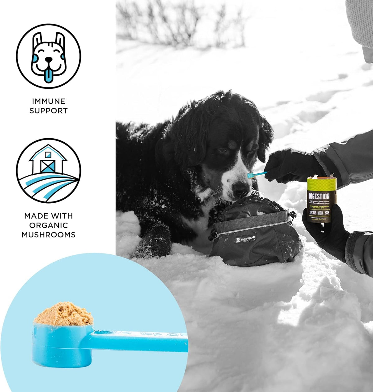 Close up view of supplement container back label with ingredients and directions