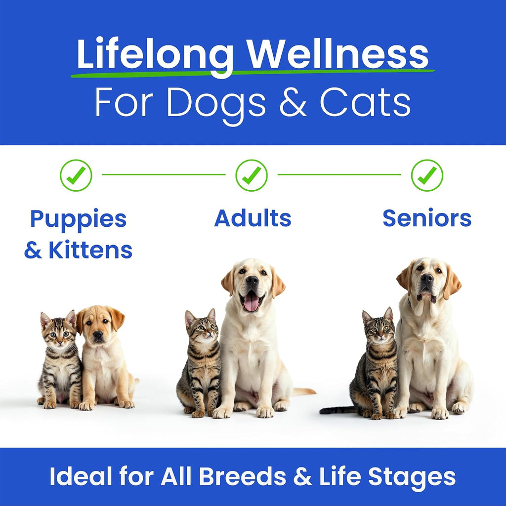 Premium fish oil for cat immunity and heart health support