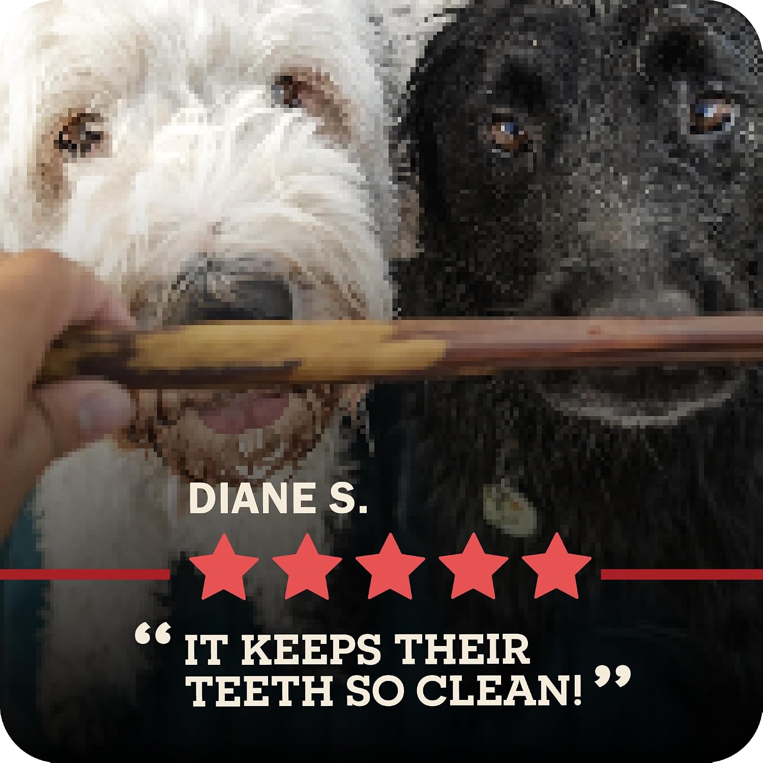 Redbarn Pet Products All-Natural 12" Braided Bully Sticks for Dogs - Premium Slow Roasted Long Lasting Chew Treats Made with 100% Beef - Single Ingredient Low Odor - 5 Count - Packaging May Vary - Image 11