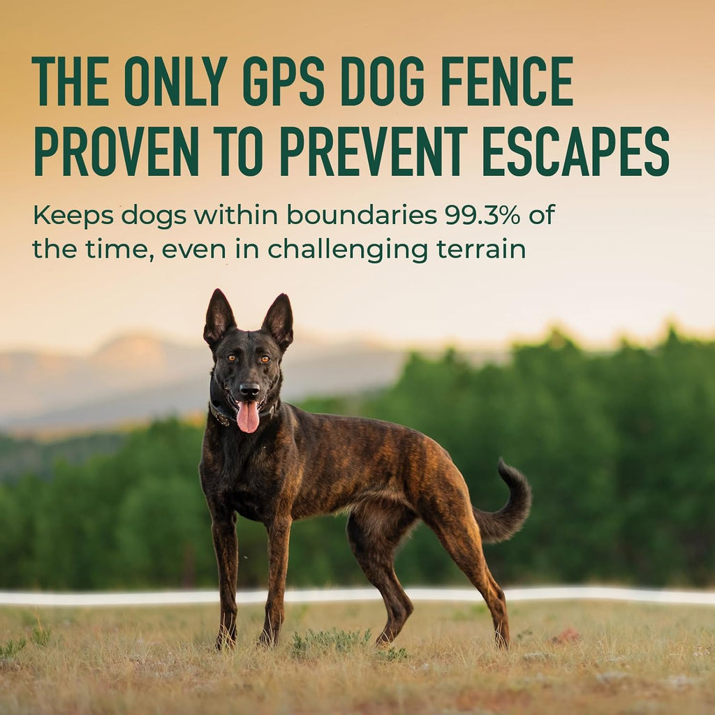 SpotOn wireless dog fence application interface showing custom boundary mapping on a smartphone screen.