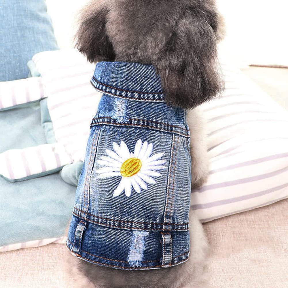 Small puppy wearing the distressed denim vest while sitting down comfortably outdoors.