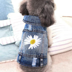 Small puppy wearing the distressed denim vest while sitting down comfortably outdoors.