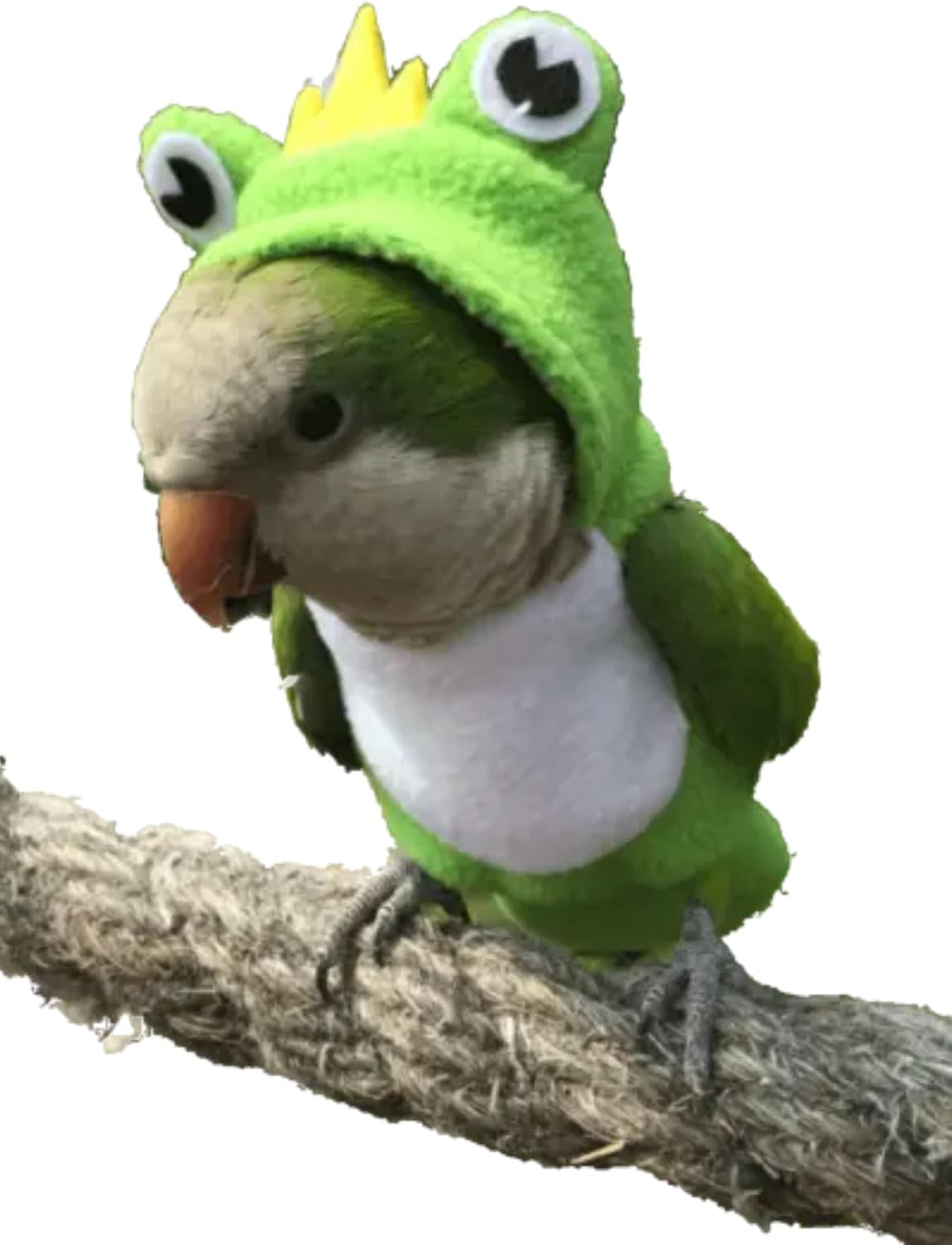 Bird Costume Diaper Flight Suit Bee Shape Clothes Cosplay Photo Prop for Parrots Lovebird Budgie Parakeet Cockatiel Sun Conure, Small Animals Apparel (Bee Without Diaper, Medium), Green (BPF1) - Image 13