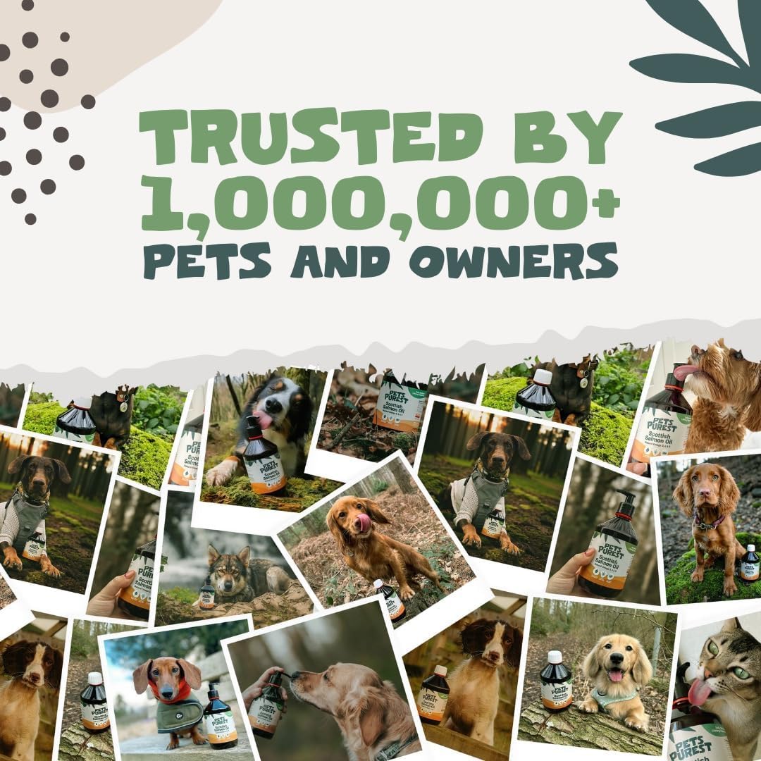 Easy application of pure fish oil pet supplement onto kibble
