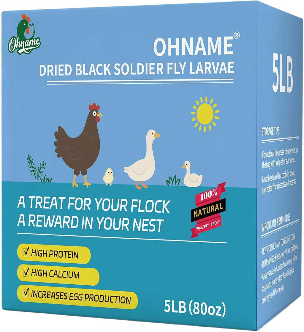 10LB Dried Black Soldier Fly Larvae for Chickens - Image 10