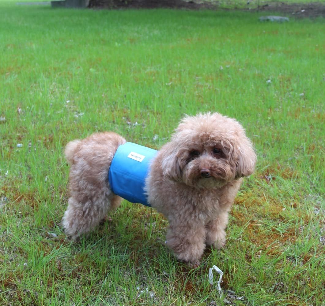 Reusable leakproof extra small male dog diaper wrap package layout.