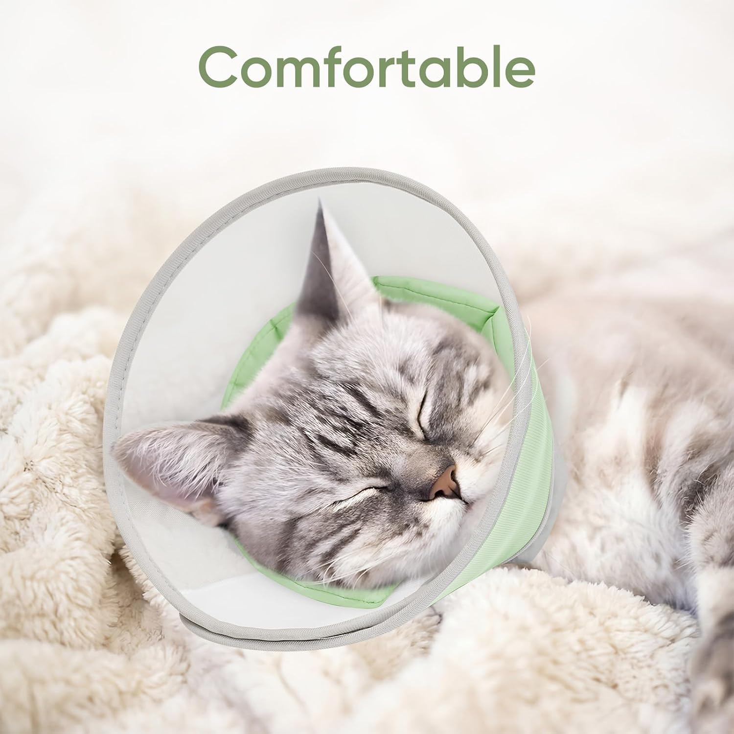 Kitten wearing the lightweight anti lick protective cone while resting comfortably