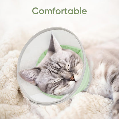 Kitten wearing the lightweight anti lick protective cone while resting comfortably