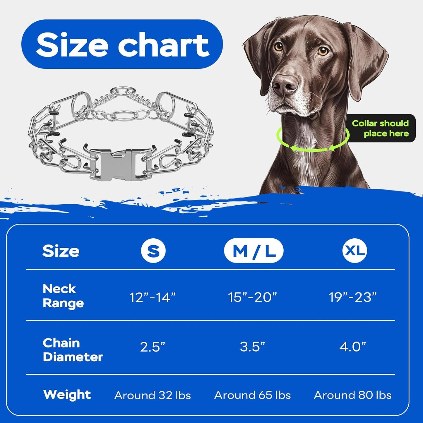 Premium rust resistant stainless steel pet collar laid flat.