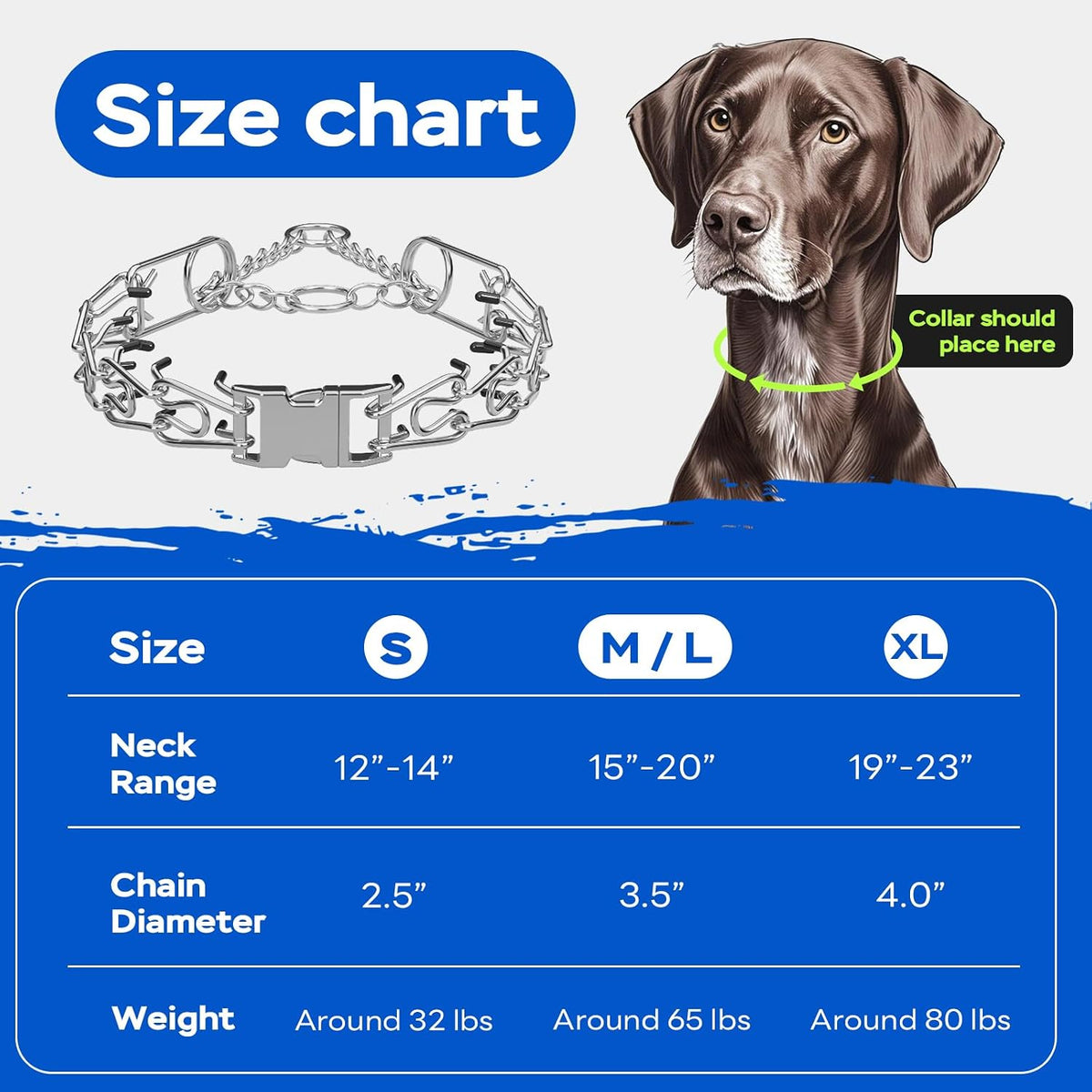 Premium rust resistant stainless steel pet collar laid flat.