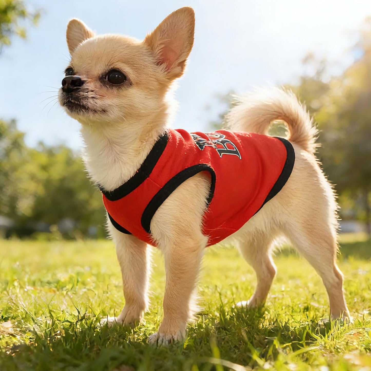 Variety of colors in the 4 pieces dog shirt collection