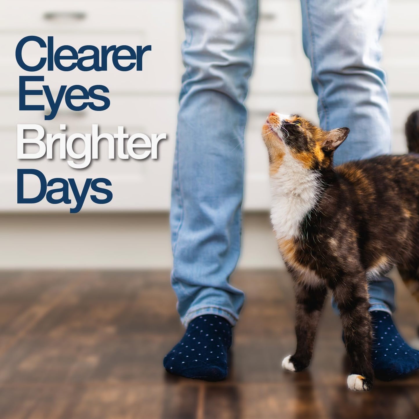 L-Lysine granules for cats by Pet Health Solutions for respiratory and eye health