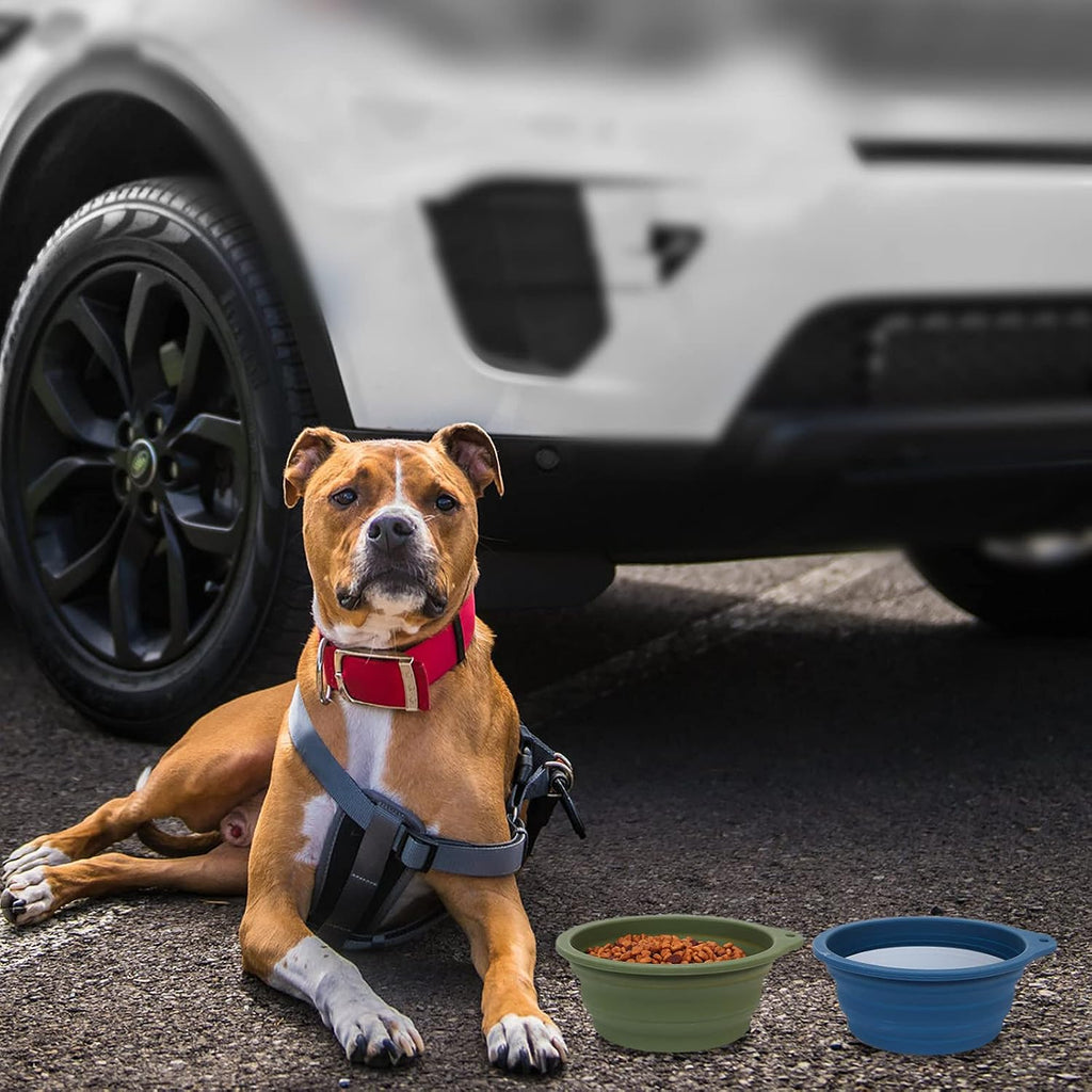 SLSON silicone collapsible bowl filled with dry pet kibble food