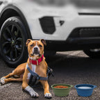 SLSON silicone collapsible bowl filled with dry pet kibble food