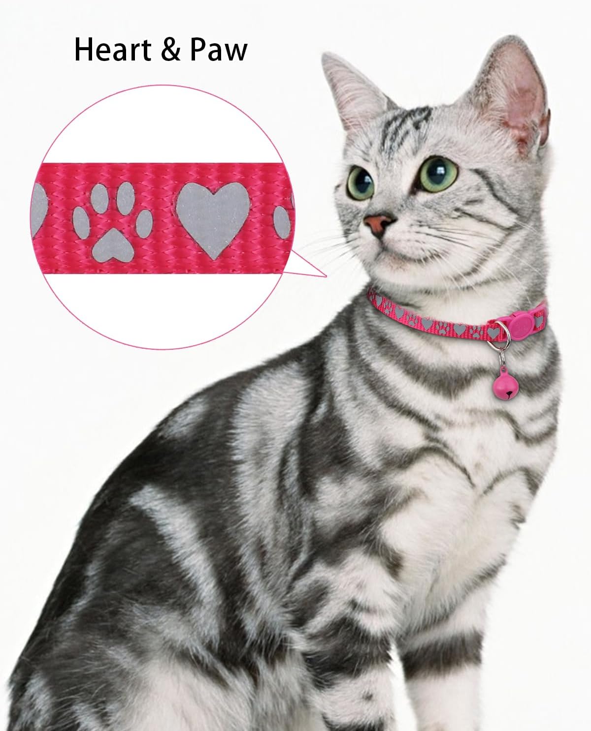 TagME premium reflective pet identification collar in various vibrant colors for boy and girl cats