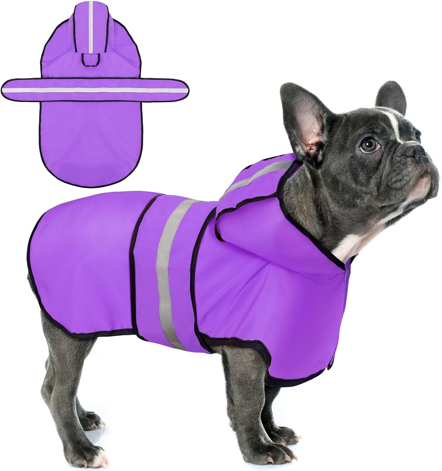 Premium imported waterproof pet apparel for Indian monsoon protection.