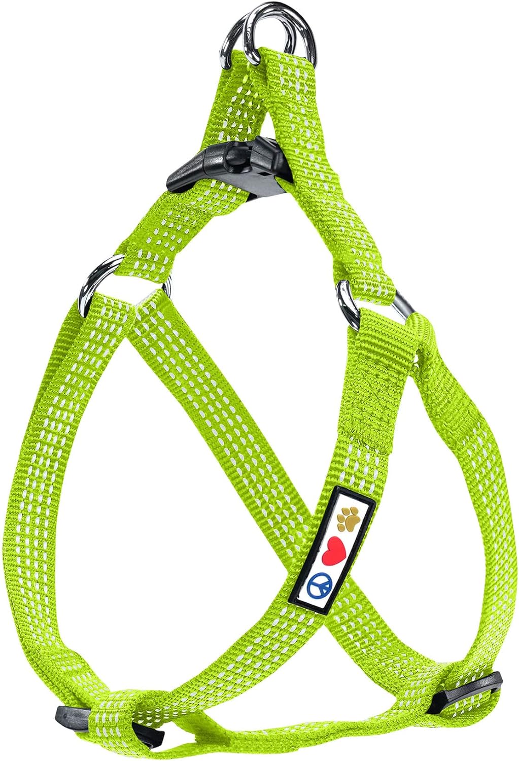 Small dog wearing Pawtitas multicolor step-in harness