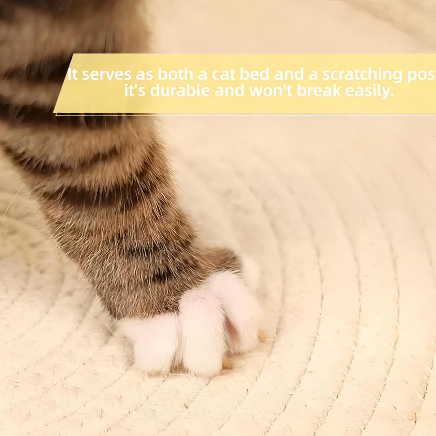 Removable cushion inside Pureadee round cat bed