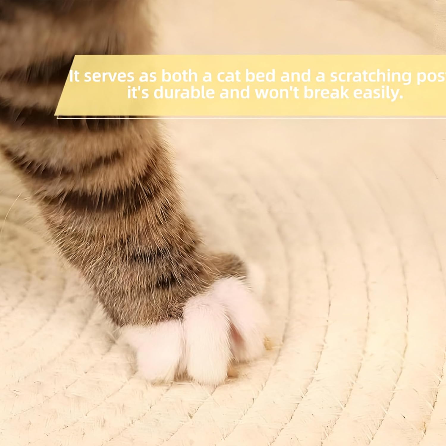 Removable cushion inside Pureadee round cat bed