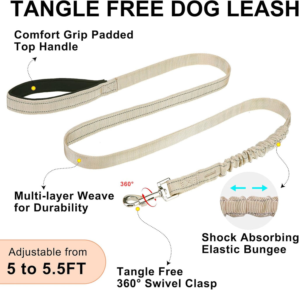 USA imported BEAUTYZOO walking harness set for small girl and boy dogs