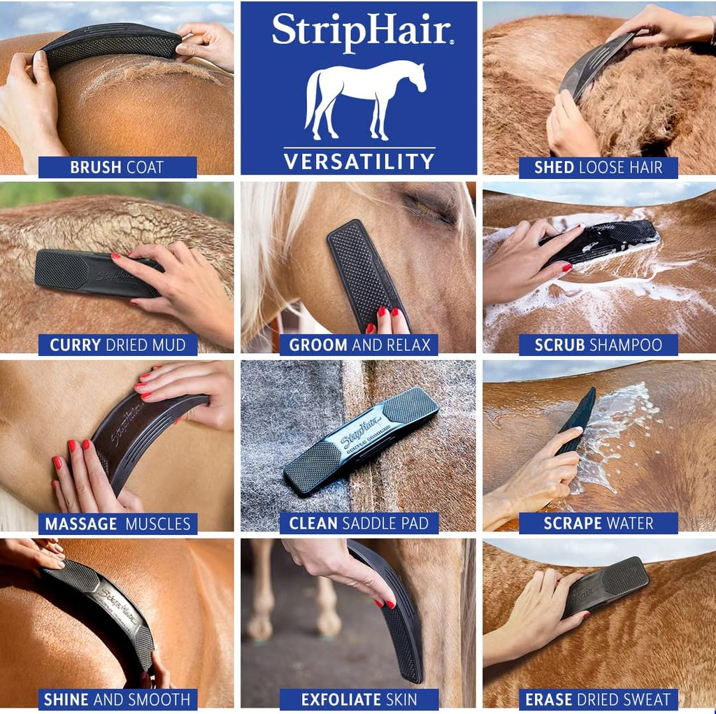 StripHair tool cleaning and shining a dog coat
