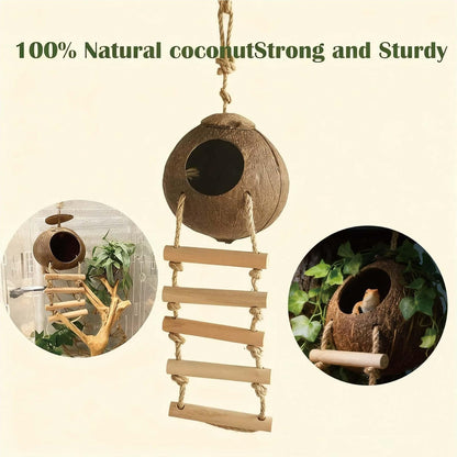 Natural coconut shell hideout with wooden ladder for reptiles