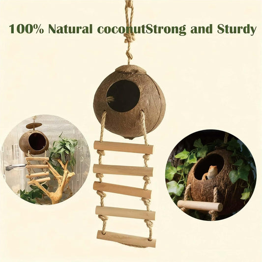 Natural coconut shell hideout with wooden ladder for reptiles