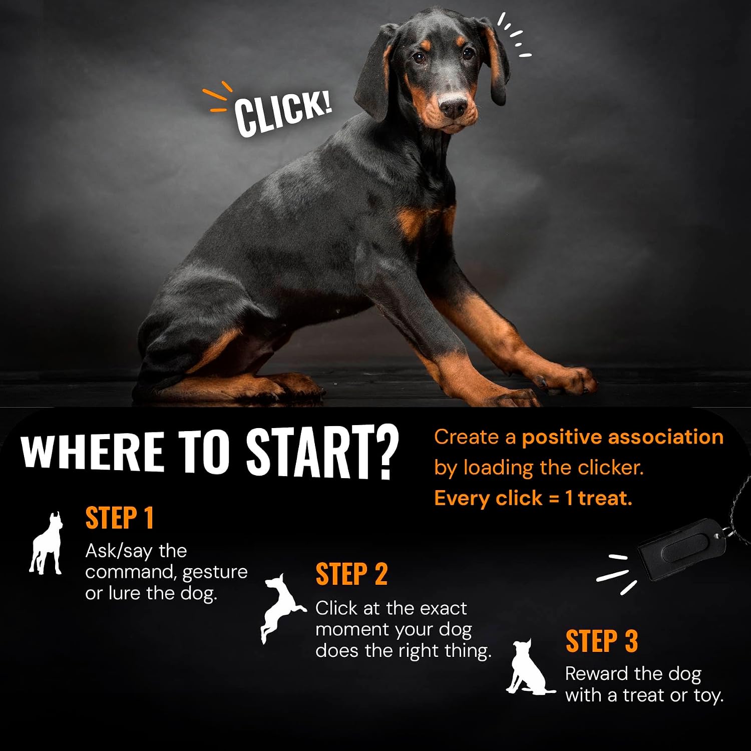Loud crisp sound dog behaviour reward clicker with magnetic clasp