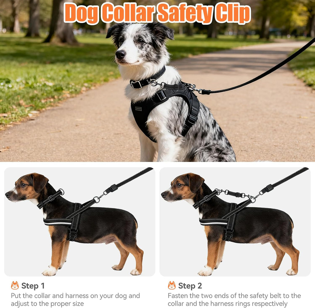 Woinxenn double ended backup strap connecting reflective harness to flat collar