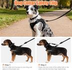 Woinxenn double ended backup strap connecting reflective harness to flat collar