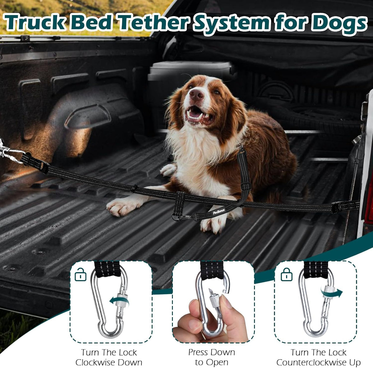 PetBonus adjustable truck tether strap extended fully