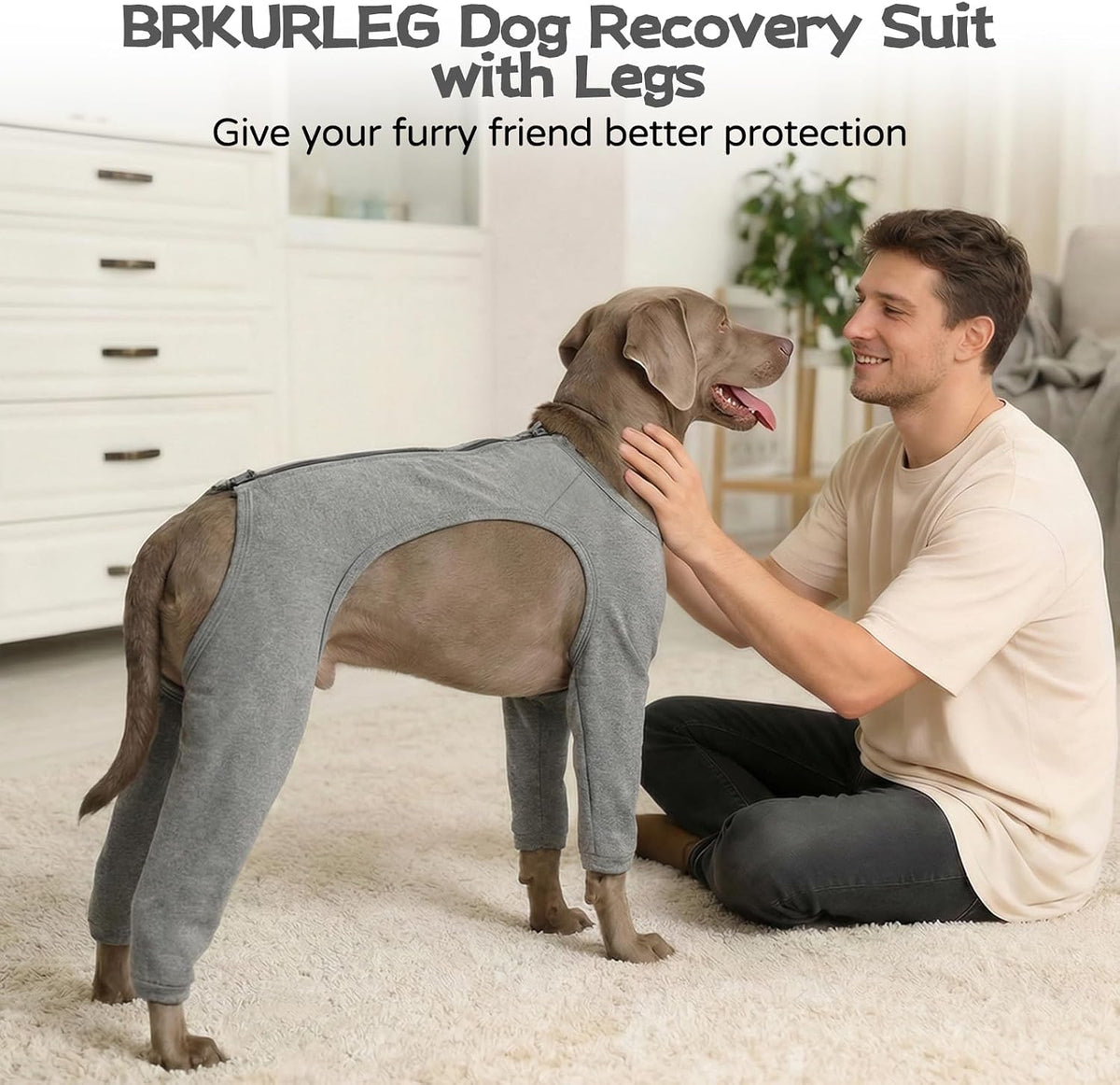 Grey dog surgical onesie showing leg coverage