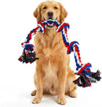 Sturdy one point six five pound interactive dog toy for anxiety relief.