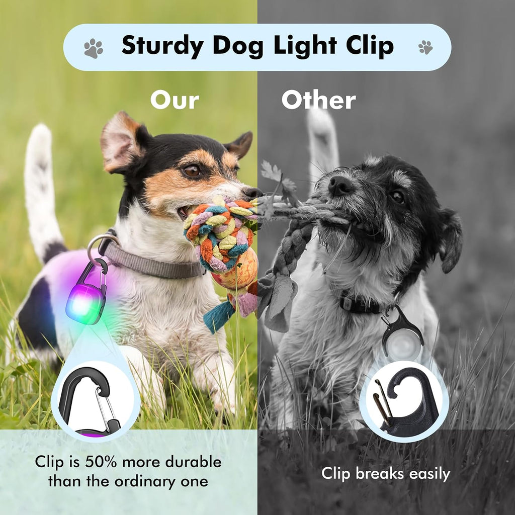 POEEY LED dog collar safety lights illuminated in white and red modes.