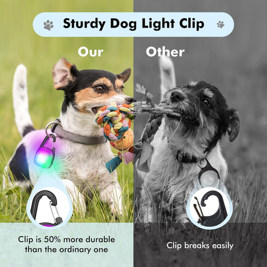 POEEY LED dog collar safety lights illuminated in white and red modes.