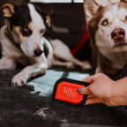 Compact reusable pet hair detailer clearing cat fur from a living room fabric couch.