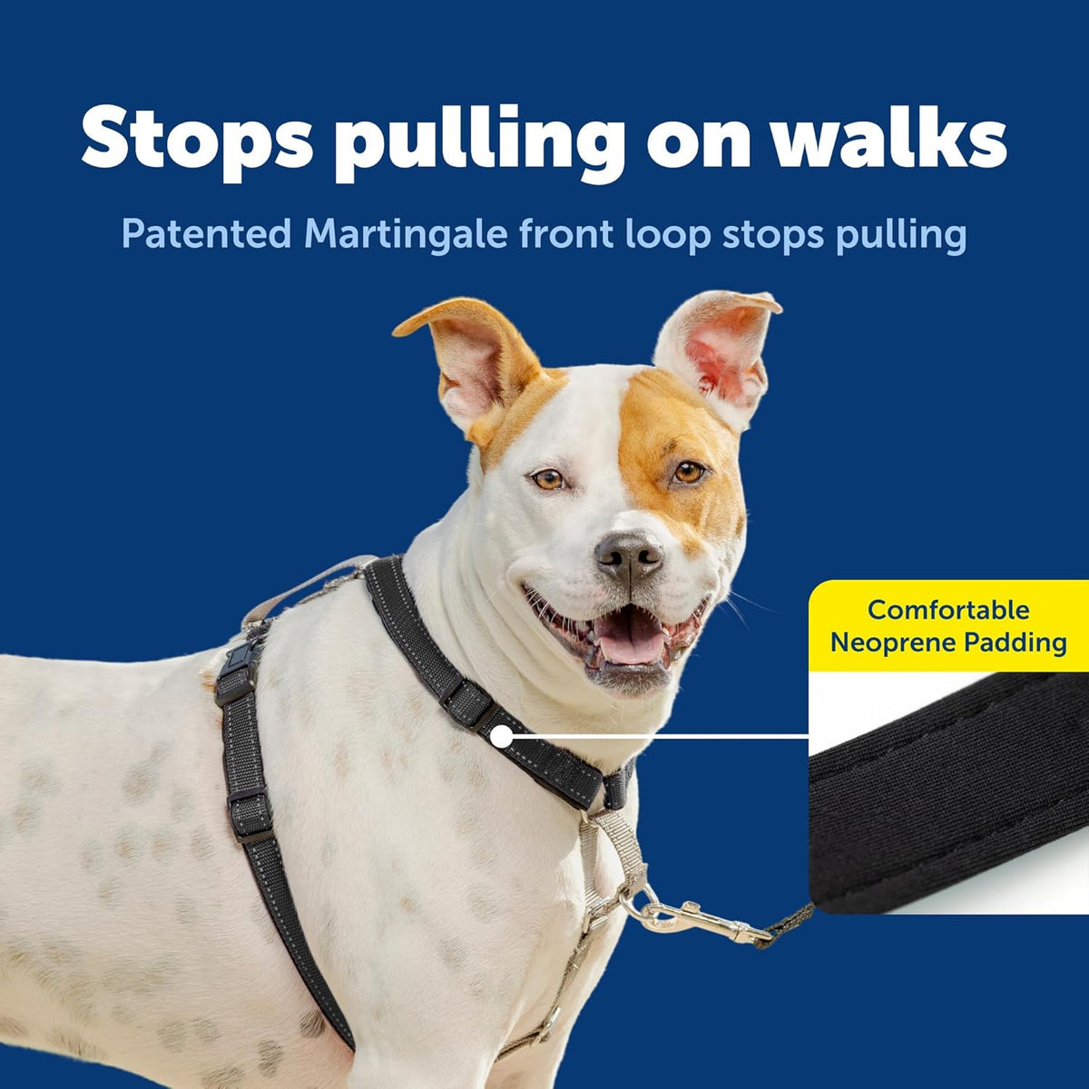 PetSafe dog harness with seat belt loop