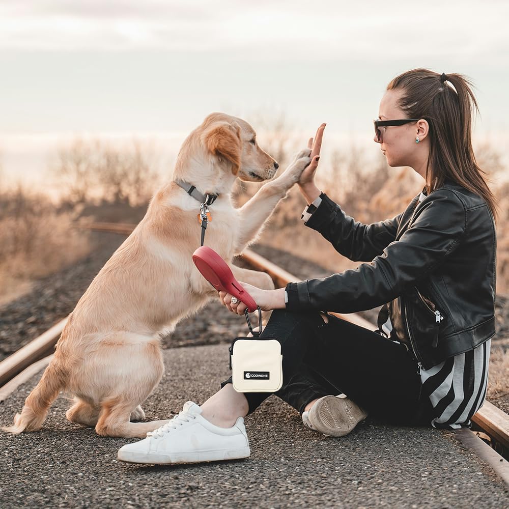 Coowone compact puppy training accessory set showcasing the sturdy carabiner and inner mesh lining.
